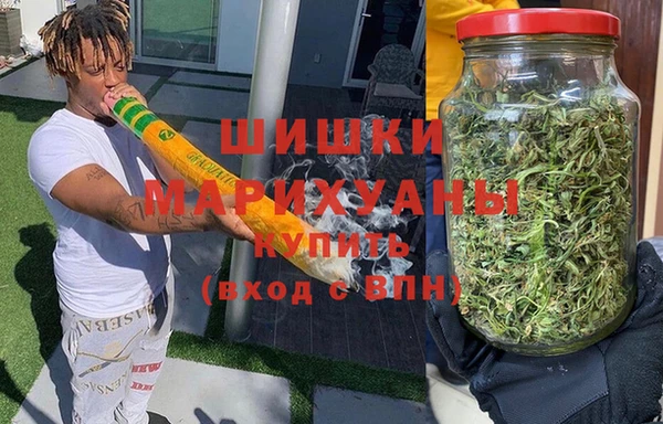 дживик Осинники