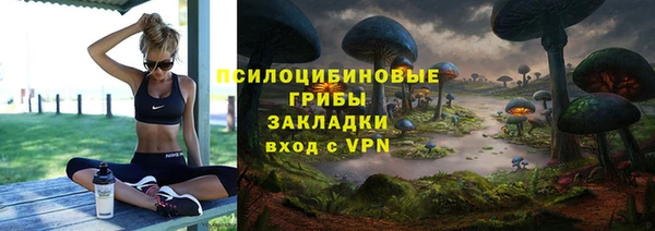 дживик Осинники