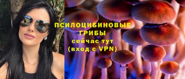 дживик Осинники