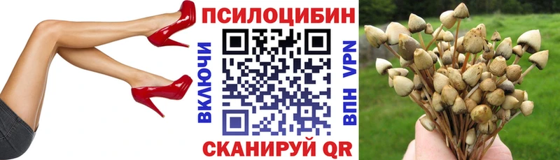 купить наркотик  Тобольск  Галлюциногенные грибы Cubensis 