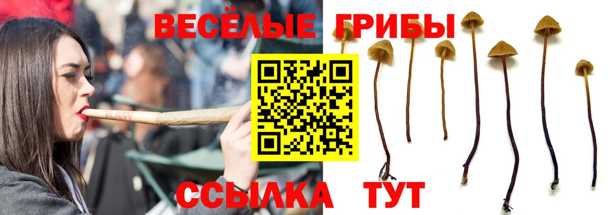 Тобольск  Галлюциногенные грибы Magic Shrooms  Вход с VPN 